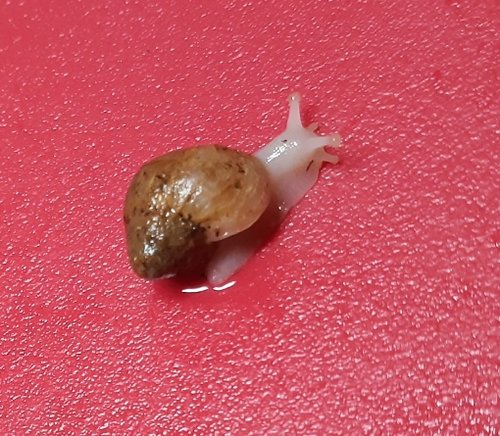 20201102_193341.jpg