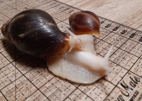20201104_214825.jpg