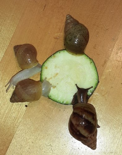 20201106_222157.jpg