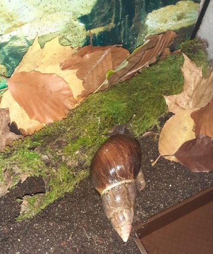 20201108_180017.jpg
