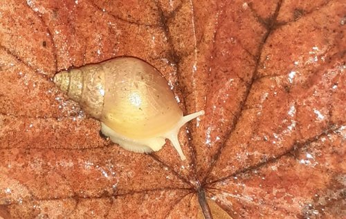 20201108_222914.jpg