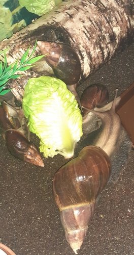20201113_174937.jpg