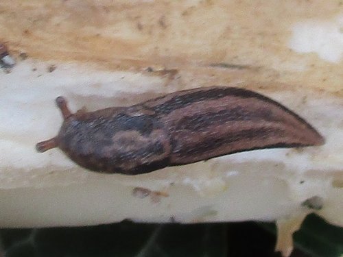 20201115_5814.jpg