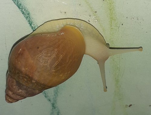 20201202_101934.jpg