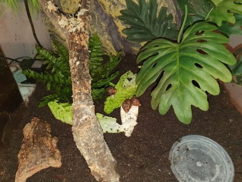 20201219_061436.jpg
