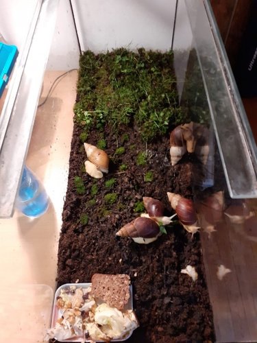 WhatsApp Image 2020-12-25 at 19.42.26.jpeg