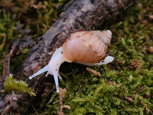 20201222_095530.jpg
