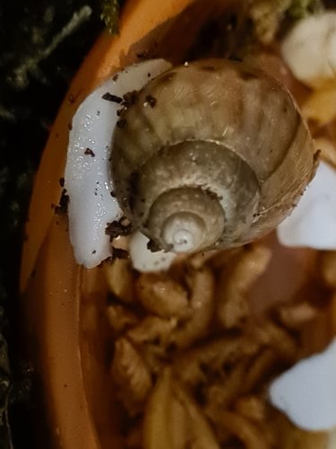 20201228_215108.jpg