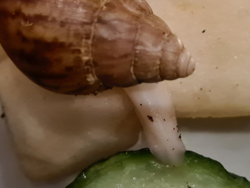 20201228_223332.jpg