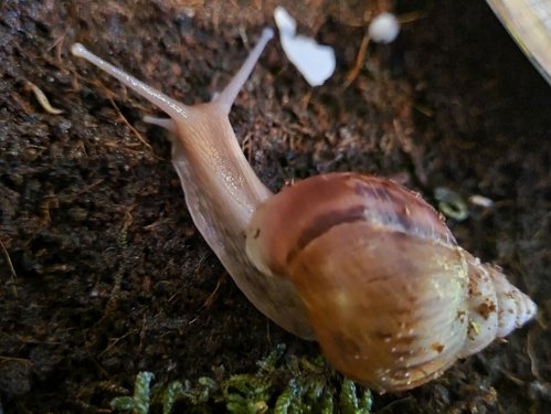 20201229_211847.jpg