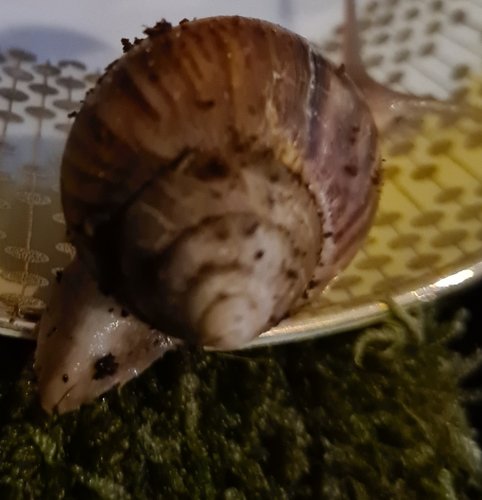 20201229_211051.jpg