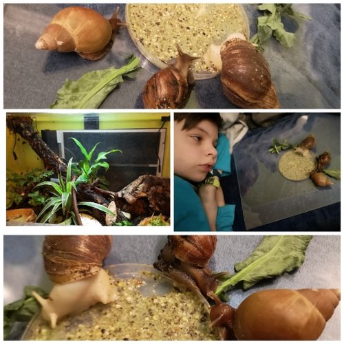 CollageMaker_20210110_203254973.jpg