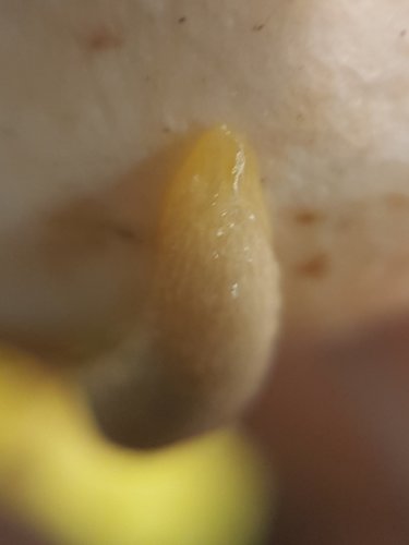 20210130_143011.jpg