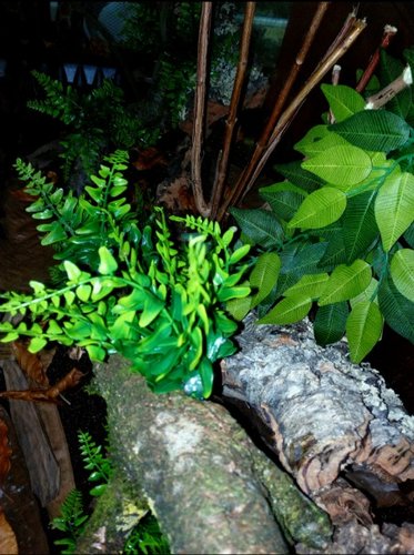 IMG_20210307_203947.png