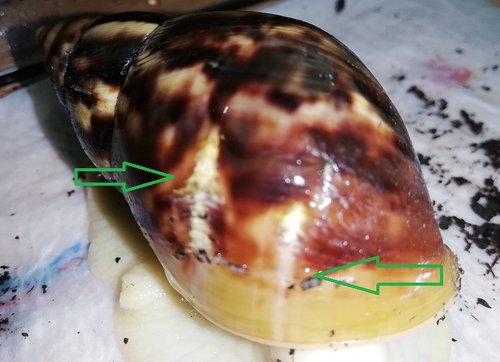 Haus kaputt Linchen.jpg