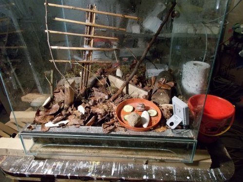 DSCN5208.JPG