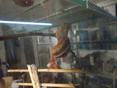 DSCN5260.JPG