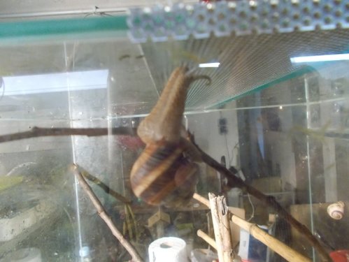 DSCN5264.JPG