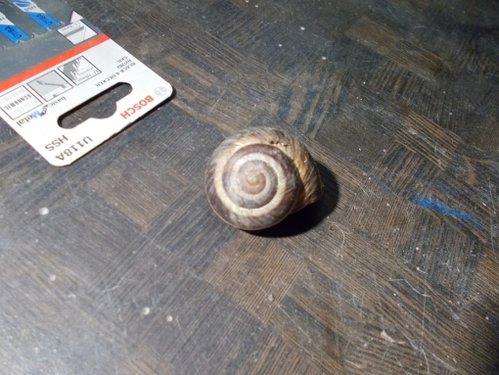 DSCN5274.JPG