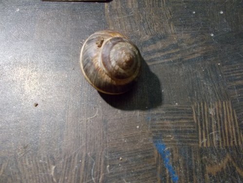 DSCN5276.JPG