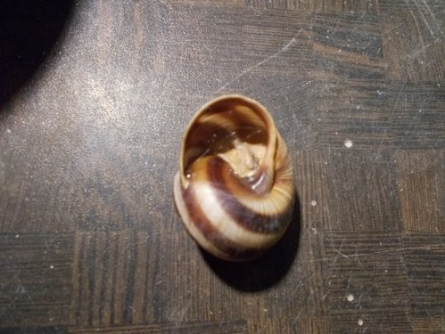 DSCN5277.JPG