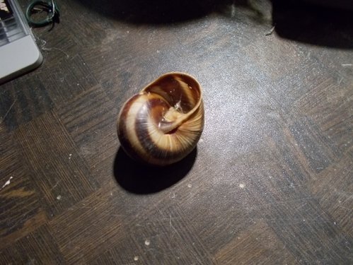 DSCN5282.JPG