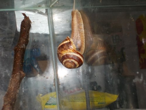 DSCN5298.JPG