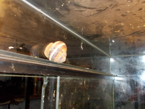 DSCN5301.JPG