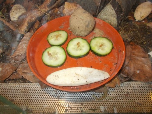 DSCN5309.JPG