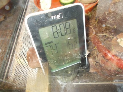 DSCN5310.JPG