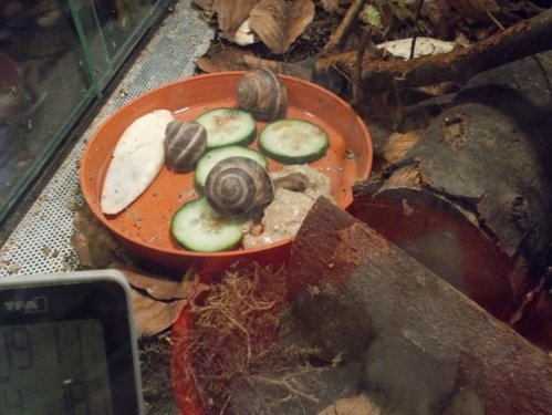 DSCN5315.JPG