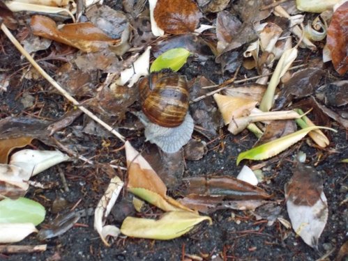DSCN5319.JPG