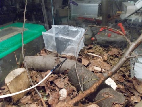 DSCN5329.JPG