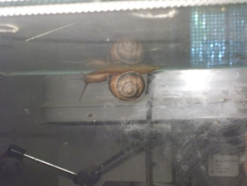 DSCN5390.JPG