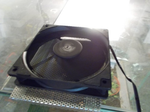 DSCN5392.JPG