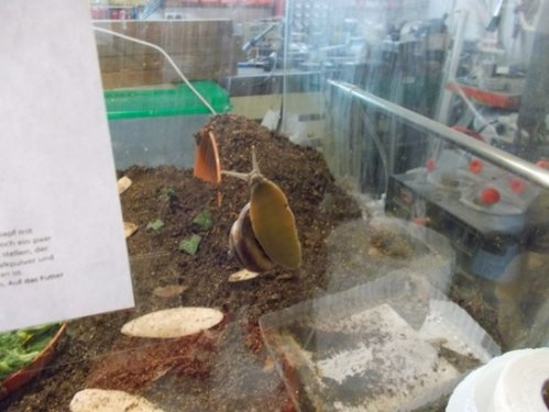 DSCN5410.JPG