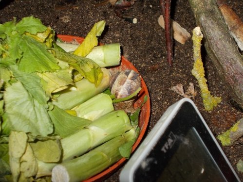 DSCN5510.JPG