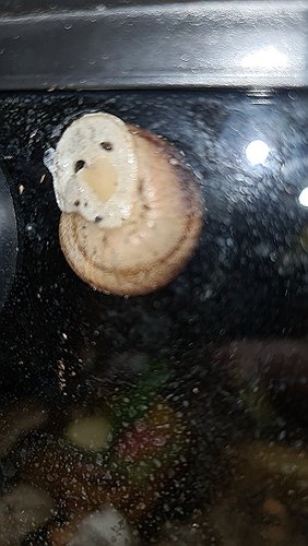 20210604_235243.jpg