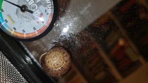 20210604_235440.jpg