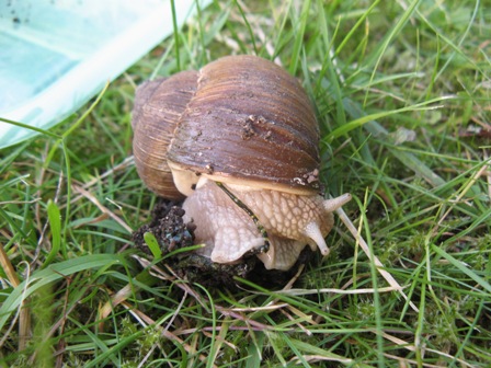 webIMG_0855.JPG