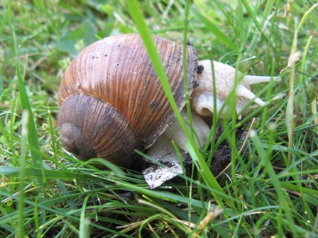 webIMG_0856.JPG