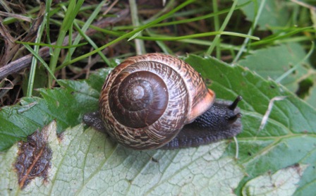 webIMG_0857.JPG