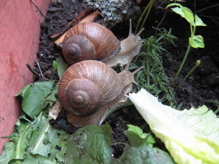 webIMG_0860.JPG