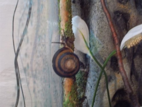 DSCN5793.JPG