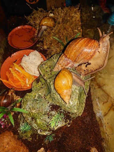 WhatsApp Image 2021-10-20 at 19.08.52.jpeg