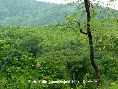 Blick in die Rwambanjuki-Hills 2 t.jpg