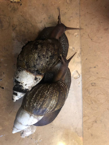 photo_2021-12-29 15.52.23.jpeg