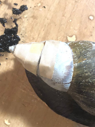 photo_2021-12-30 14.43.06.jpeg