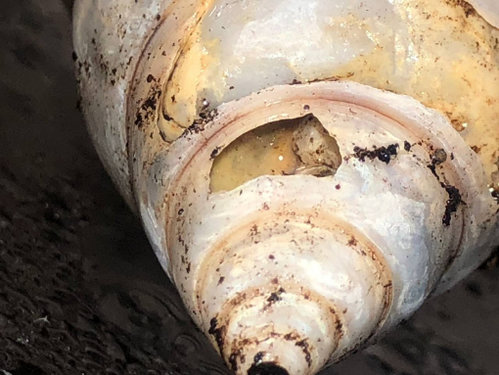 photo_2021-12-30 14.36.58.jpeg