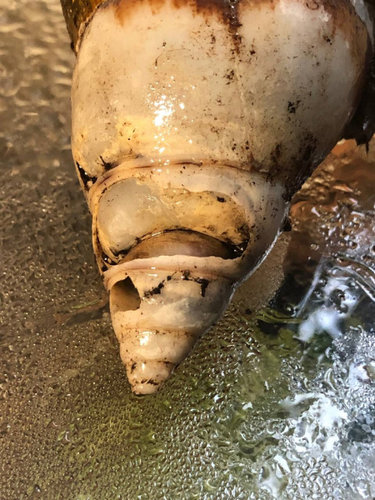 photo_2021-12-30 14.37.05.jpeg